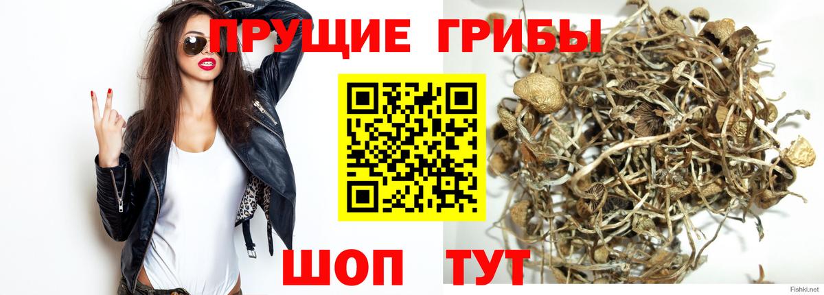 Дербент  Галлюциногенные грибы мухоморы  Вход с VPN  Псилоцибиновые грибы мухоморы 