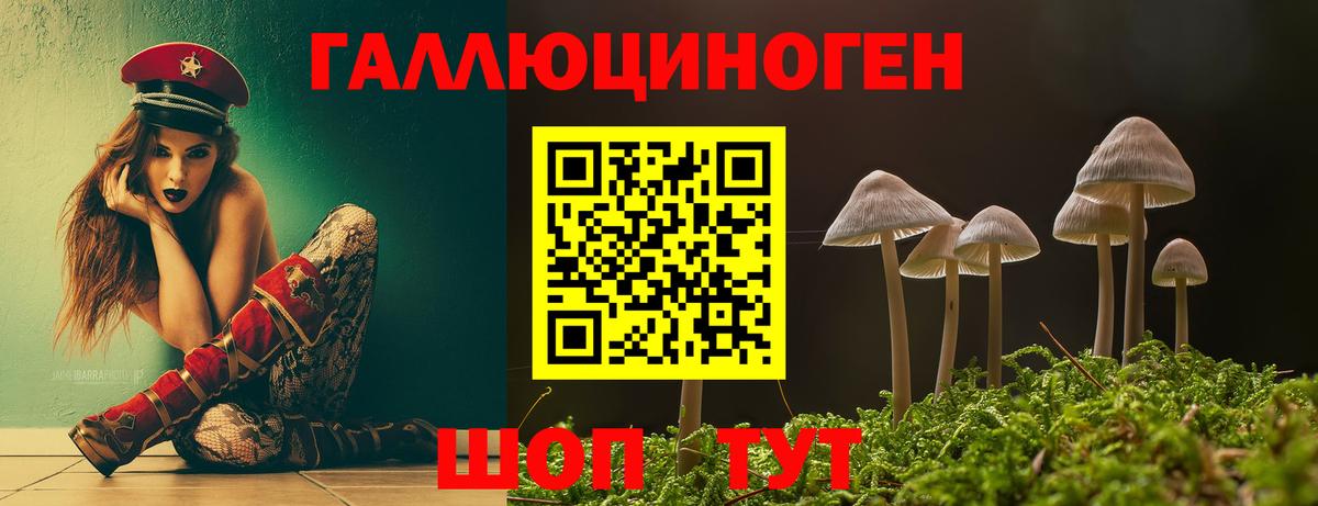 Псилоцибиновые грибы Magic Shrooms Дербент